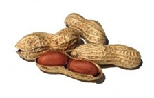 Peanuts Image  by lusi on Stock.Xchng