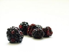 Blackberry image by lemon_drop on Stock.Xchng