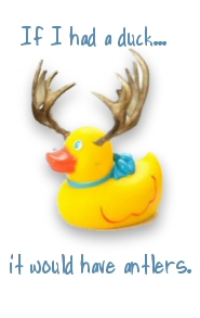 If I Had A Duck...