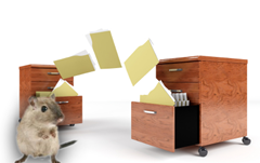 This is my stuff, sorting itself. Yay, for sorting!