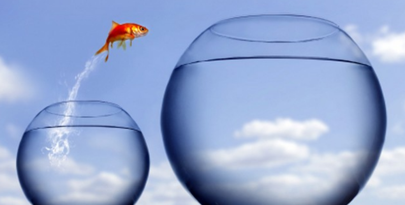 Image result for accept challenges